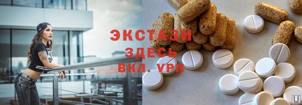 твердый Козельск