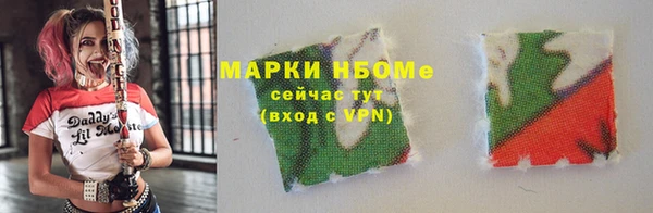 твердый Козельск