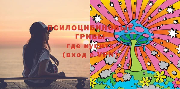 твердый Козловка