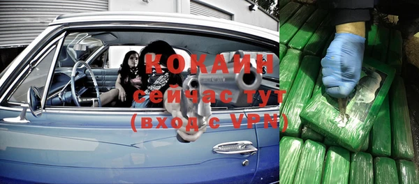 твердый Козельск