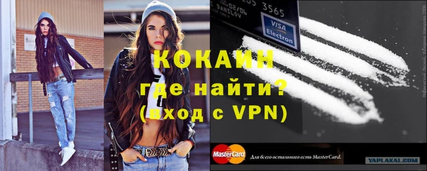 твердый Козловка