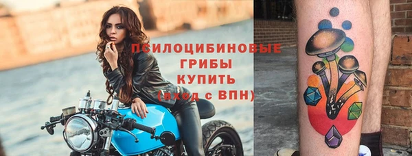 твердый Козловка