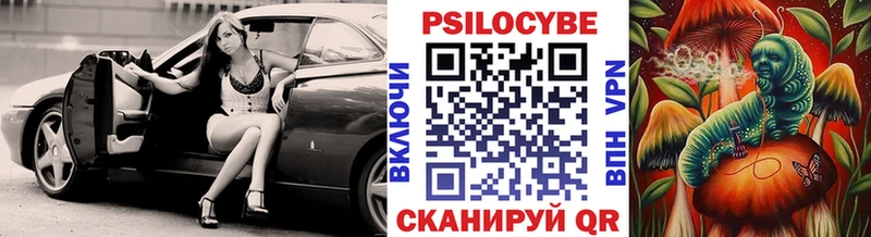 Галлюциногенные грибы Psilocybine cubensis  Купить где  Павловский Посад 